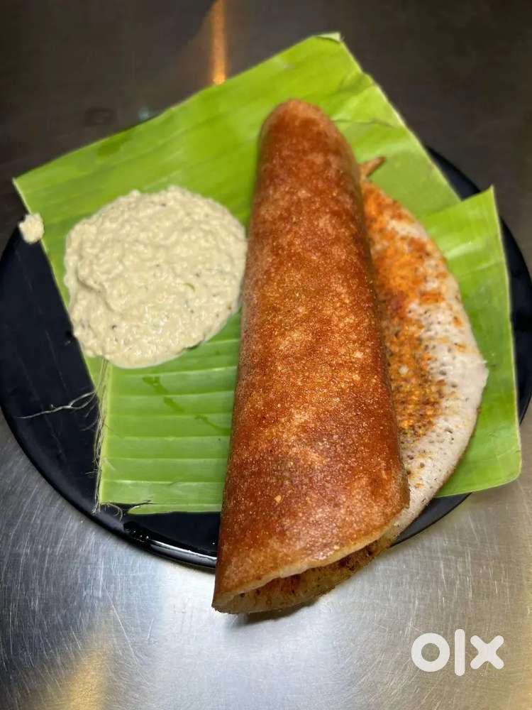 Dosa Master, Parotta Chapati Chef Master needed In Chennai