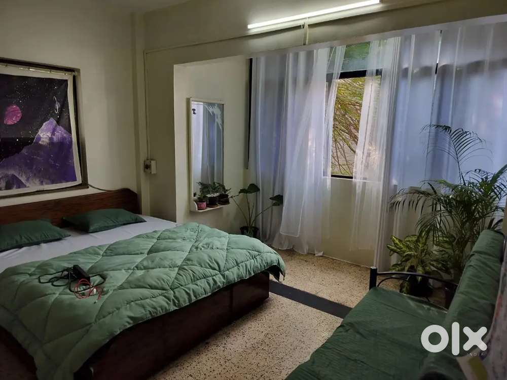 Looking for female flatmate