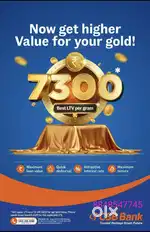 Gold loan and Take over, Gram rate - 7300