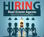 Sales Executive