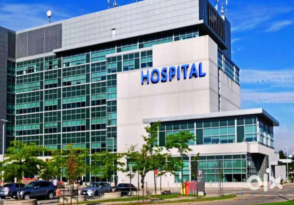 Nurse -  Freshers and experienced Nursing Staff for hospital