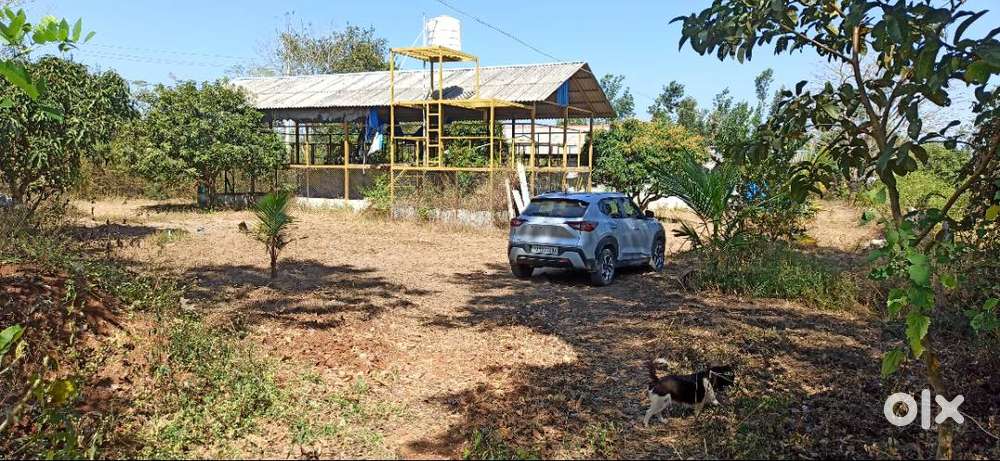 1BHK Owner house, 1 Labour House with General bathroom, 1 Store room,