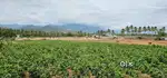Land for sale near 100ft away NH Dindigul to coimbatore bypass road