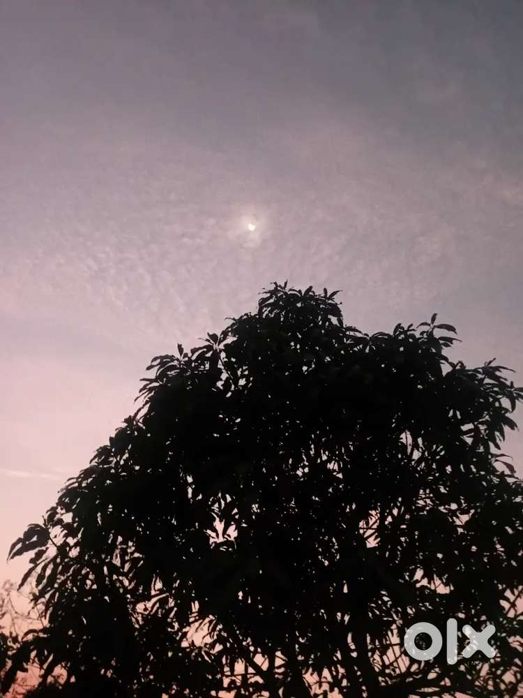 Open farm house  plot for sell