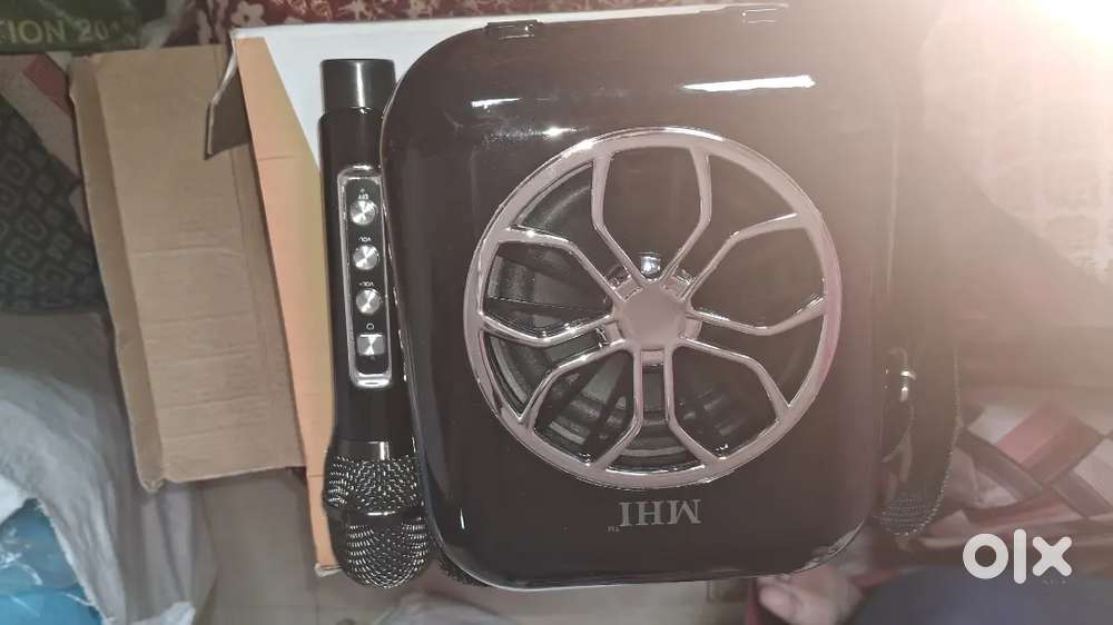 2 karaoke speakers with mikes