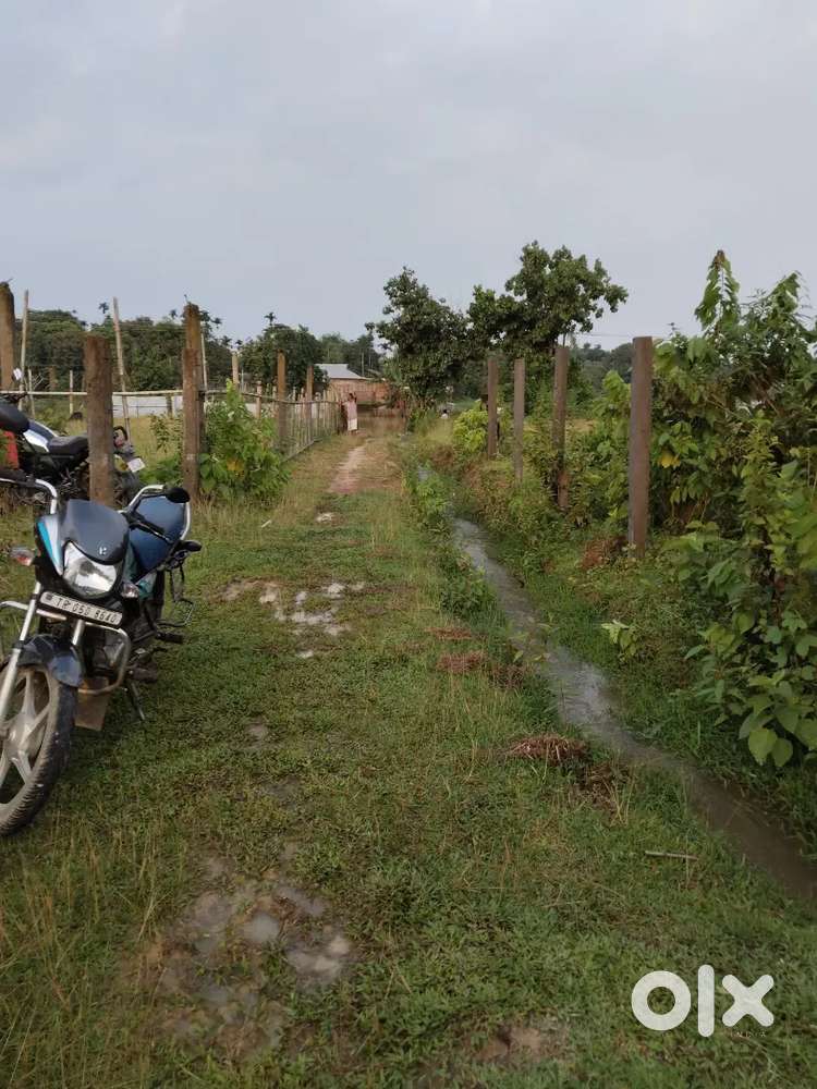 8.5 Gonda Land Sale @Rs.4.3L P/G