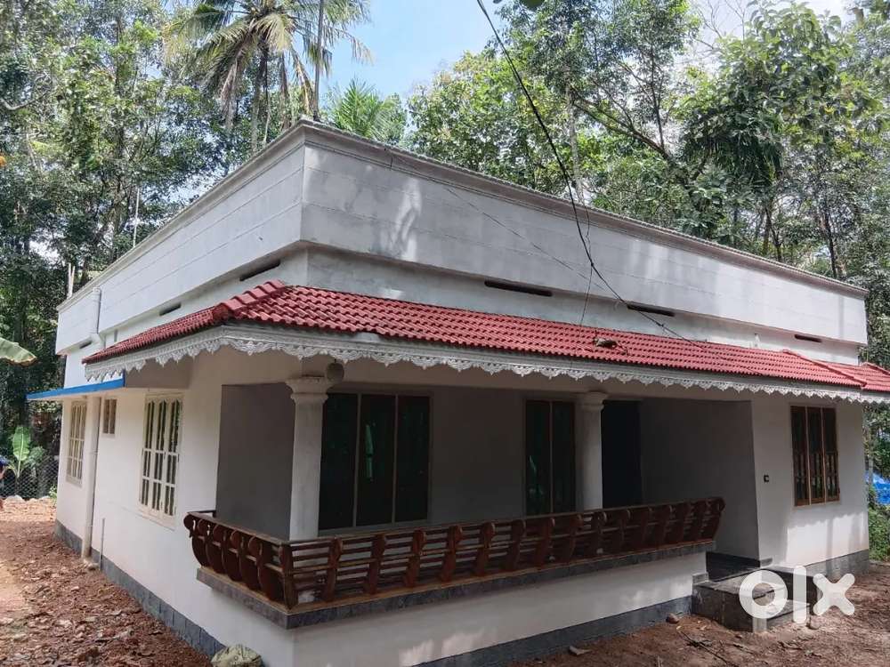 3 BHK house and 10.45 cent plot is for sale