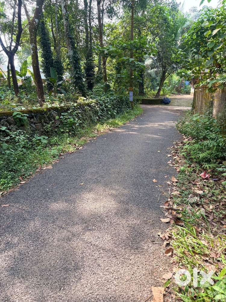 30 cent house plot sale(available as 10 or 15 cents also)