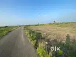 Farm land thar road facing. Single Survey. 100% legal complied