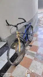 Street rider (Turbo Driver) Bicycle