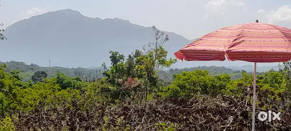 Super Resort land