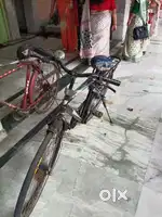 Bicycle ranger model