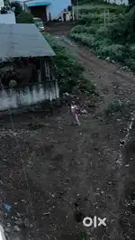 Best na plos jisko bhi chaiye honga mes kare detail ke liye