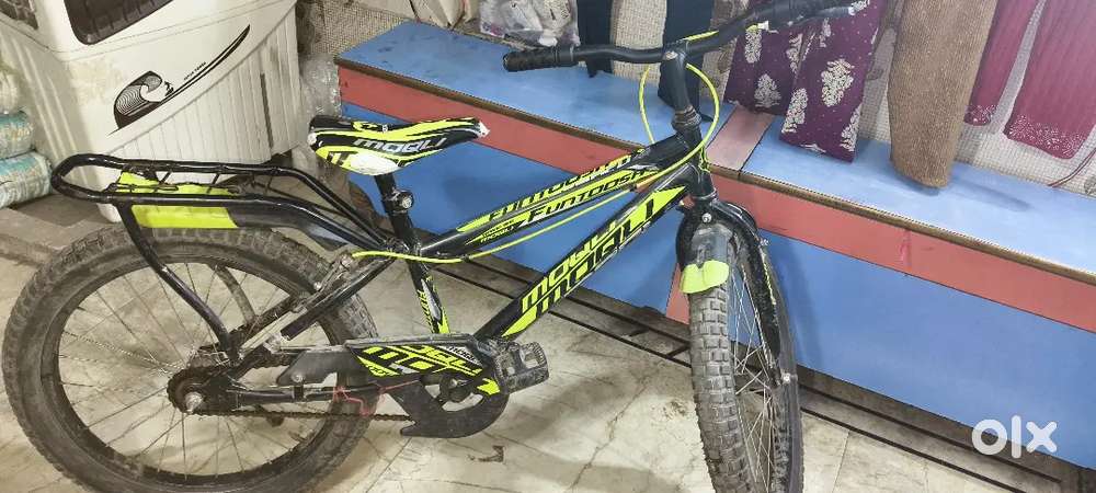 3 month old cycle