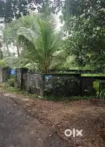 Ideal Land In Kalavoor. For Housing or Investment