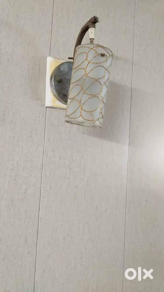 Decorative  Lights - Negotiable rate ( Per pcs 100 rupees)