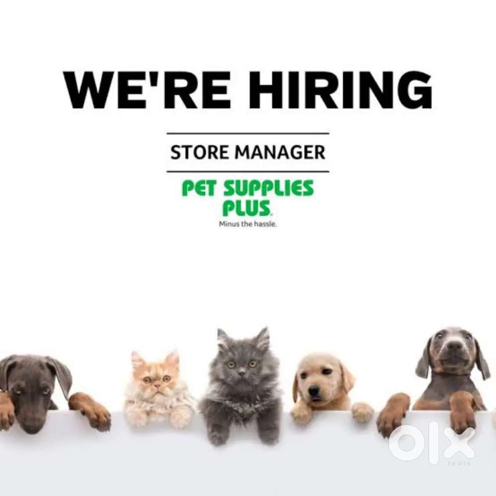 Pet Store Incharge