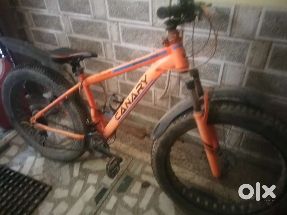 A fat bike cycle