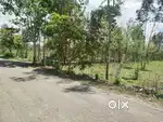 PLOT FOR SALE