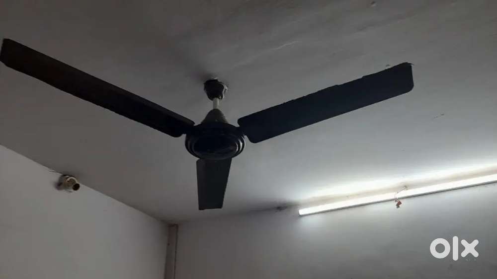 Fan combo (3 fans )