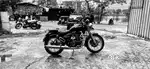 RE THUNDERBIRD 350 Twinspark