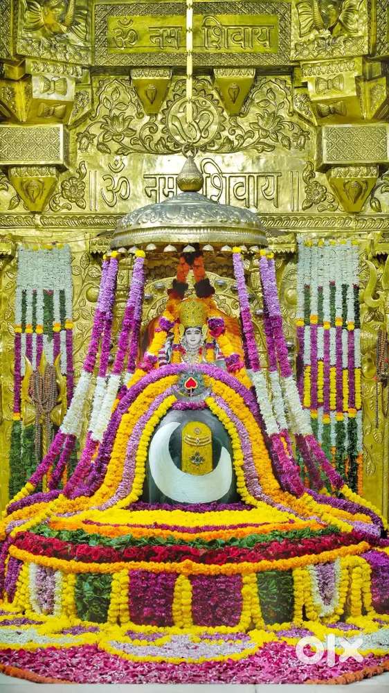 Tapovan dreem city kadi chattal highway