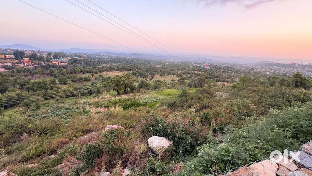 Residential and commercial land’s