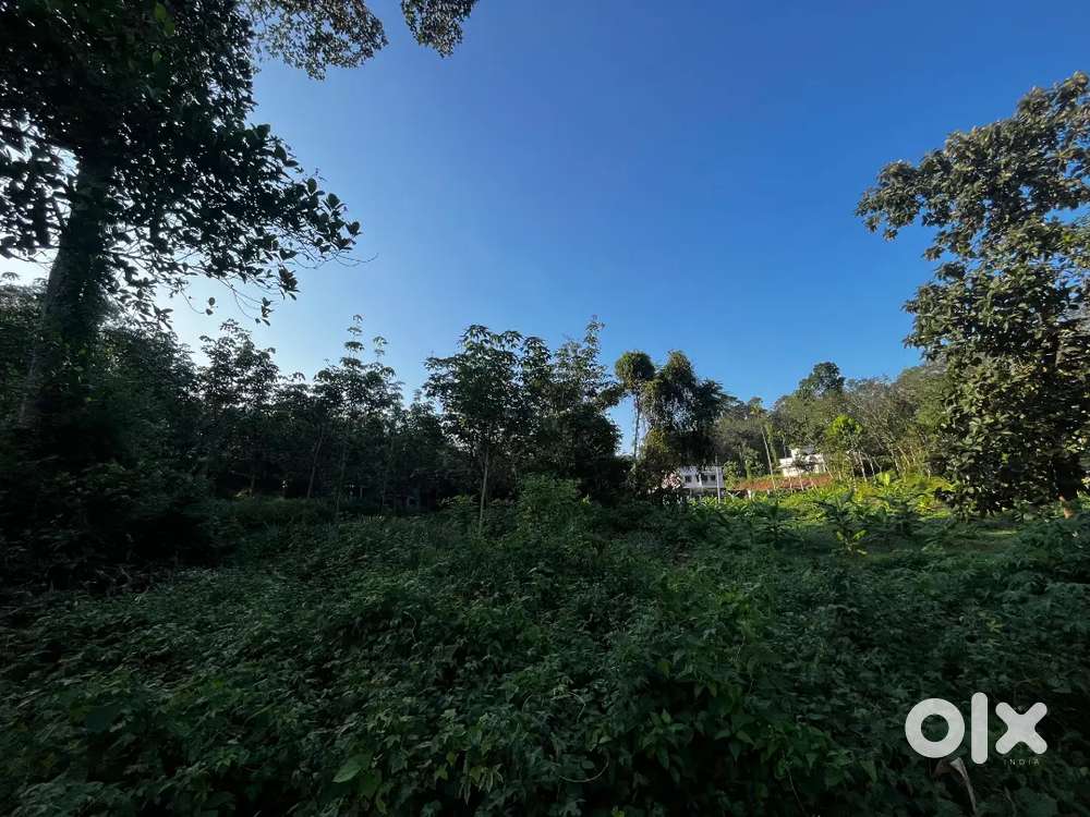 1 ACRE LAND FOR SALE, 1Km From Town PAMDADY KOTTAYAM
