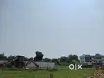 Avadi land