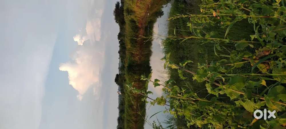 3ACRE ROAD TOUCH LAND FOR SALE AT MOUZA UMRI MEGHE