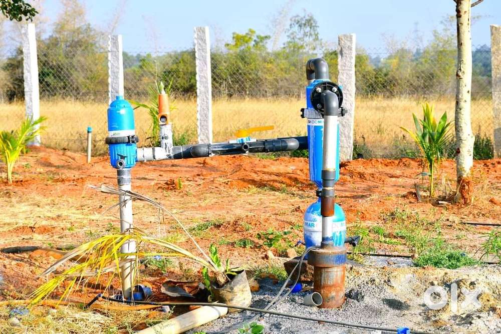 AGRICULTURE LAND 6534SQFT FARMLAND MANAGED FOR SALE AT GOURIBIDNUR