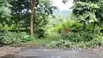 Dumka Pakur Highway Plot For sell