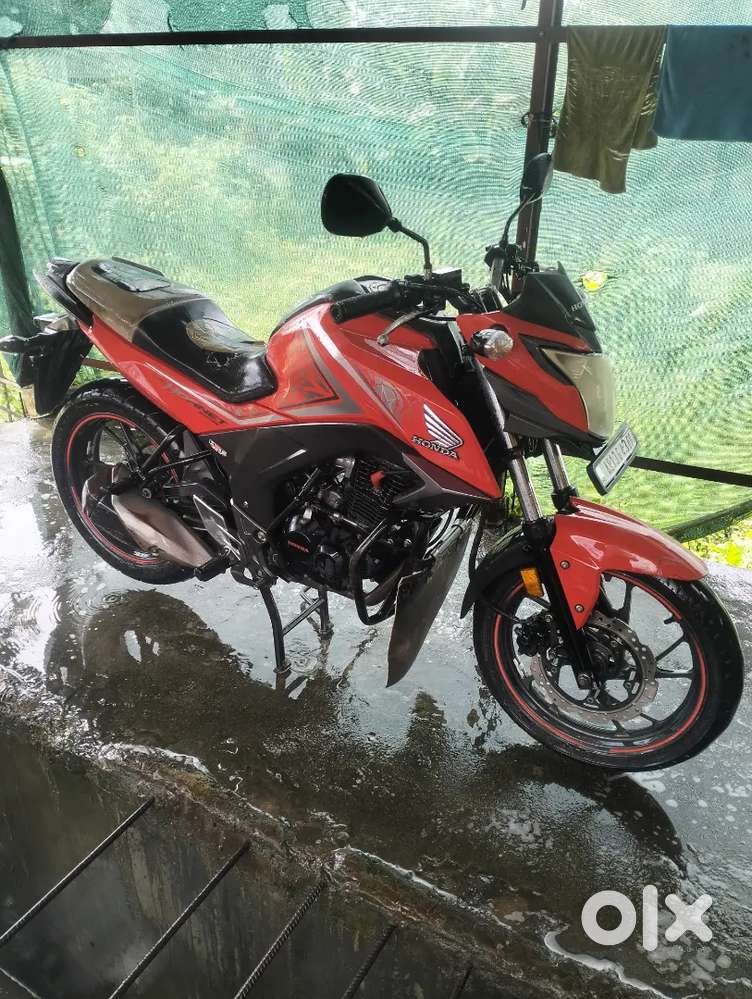 Hornet Honda