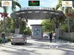 Gulmohar green old dhamtari road raipur