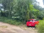 Land for twenty cent