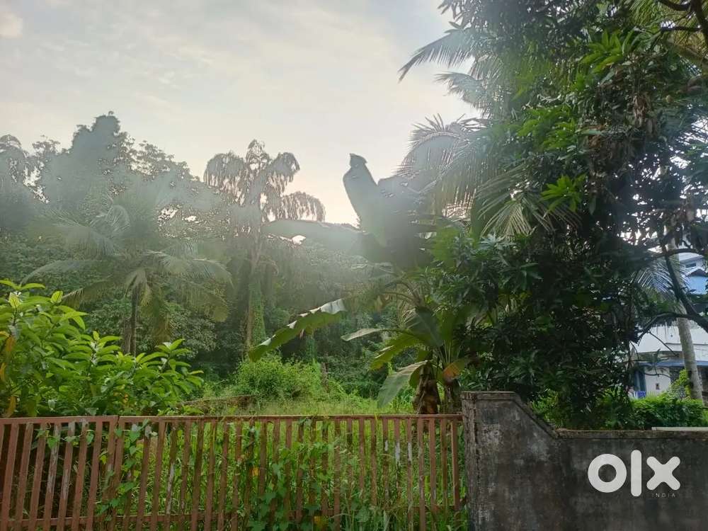 Kangarapady plot for sale