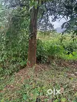 RESIDENTIAL PLOT FOR SALE, KERI, AREA 326SQ MTS, PRICE@₹2900/SQ MTS