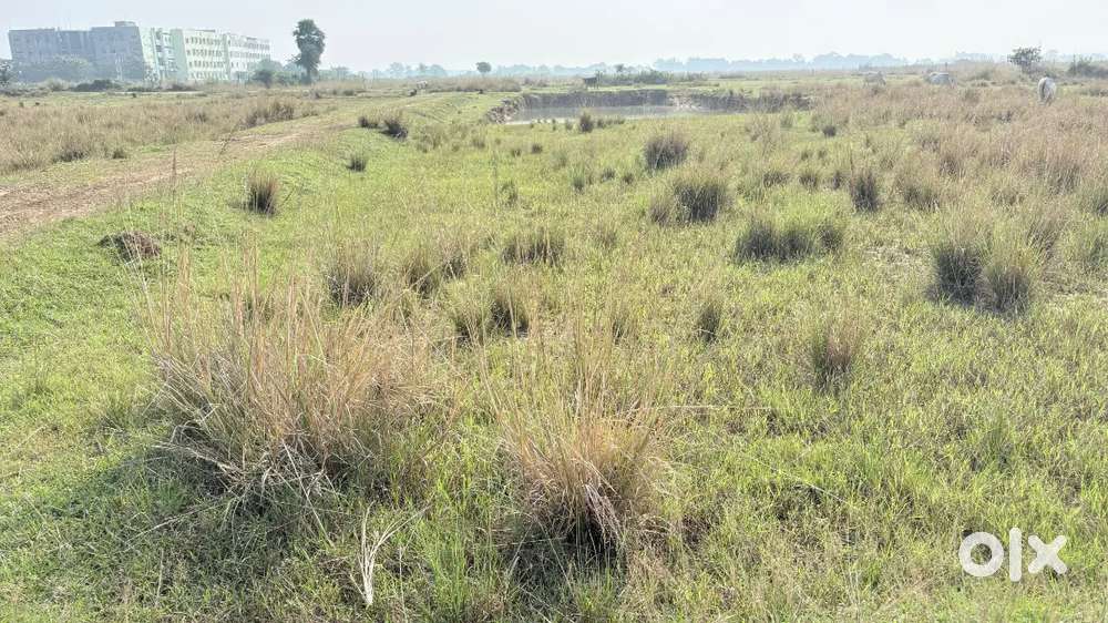 Land plot for sale