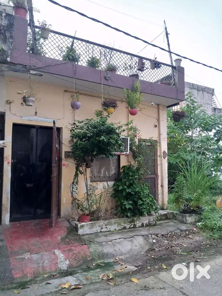 East facing furnished cheap and Best