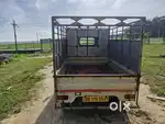 Tata ace gold
