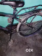 This cycle is 1 year old