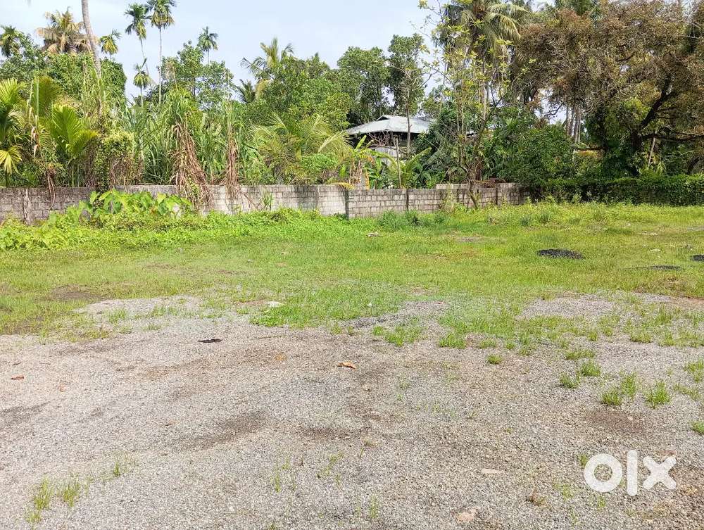 3 cent 6 cent plot for sale varapuzha, 450 meter highway