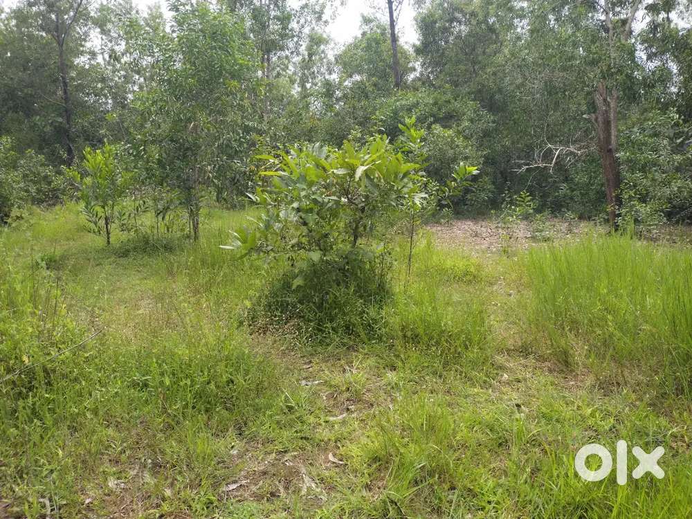 1.40 acre land for sale Manipal to hiriyadka road