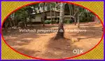 3 ents House plot for sale in Kallai - 500 mtrs from bus route