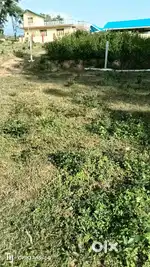 Near Degree college palampur