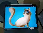 iPad Pro 11 with Apple Pencil and Apple Care