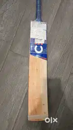 Ceat English Willow