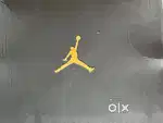 Nike jordans true flight original