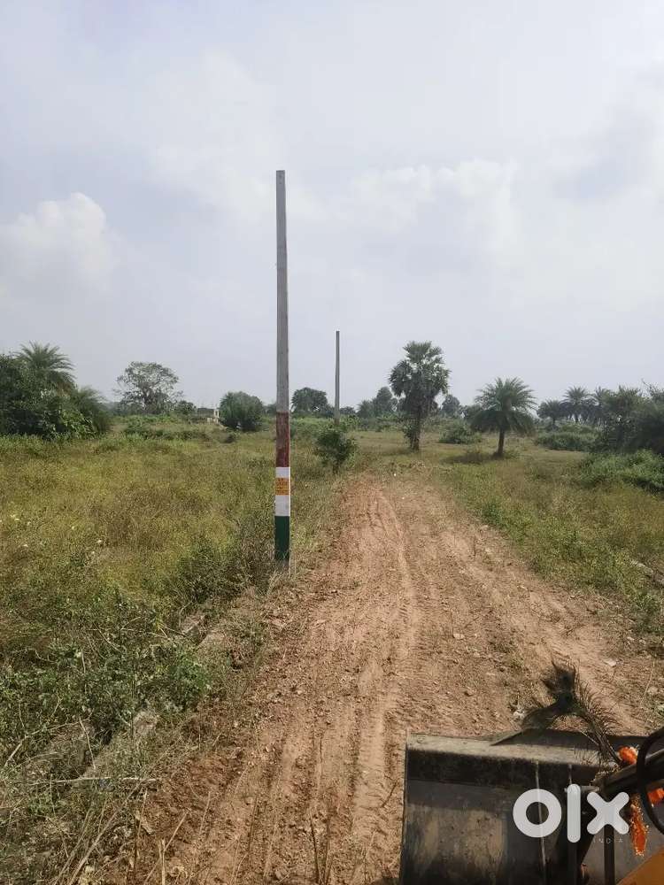 Ankuli aruapalli village 15x60-4plots available with 30ft road & drain