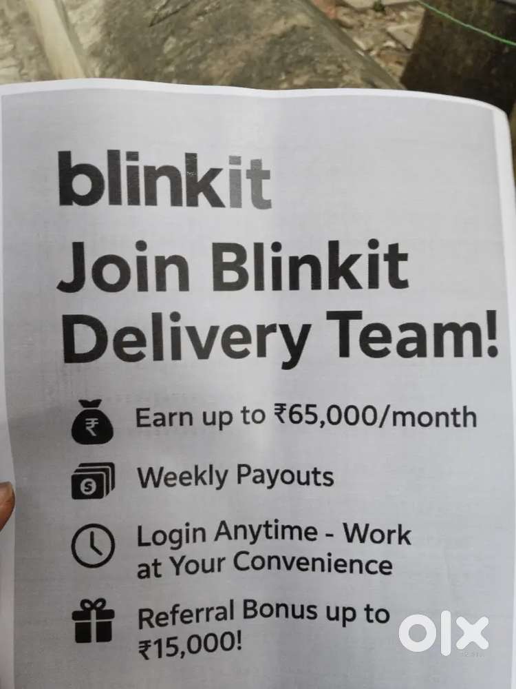 Blinkit delivery partner job flexible timing good earnings